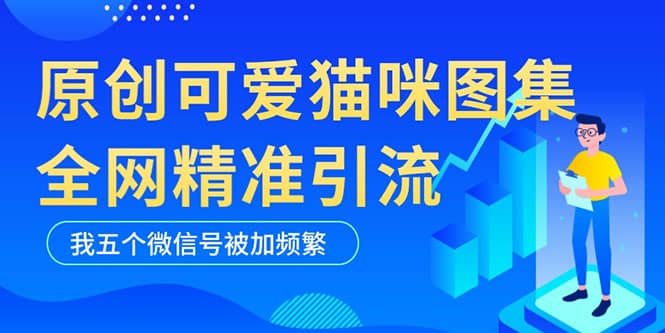 黑科技纯原创可爱猫咪图片，全网精准引流，实操5个VX号被加频繁-温馨分享网