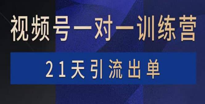 视频号训练营：带货，涨粉，直播，游戏，四大变现新方向，21天引流出单-温馨分享网
