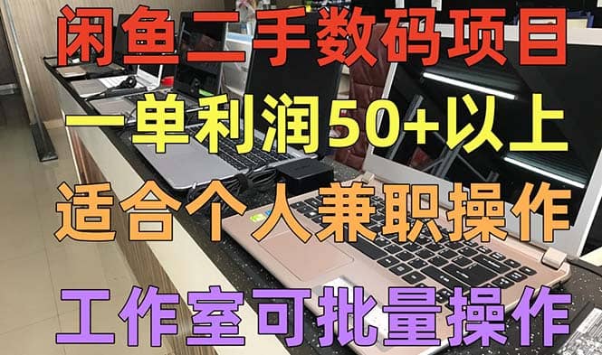 闲鱼二手数码项目，个人副业低保收入，工作室批量放大操作-温馨分享网