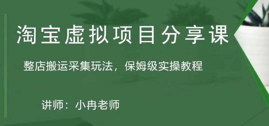 淘宝虚拟整店搬运采集玩法分享课：整店搬运采集玩法，保姆级实操教程-温馨分享网