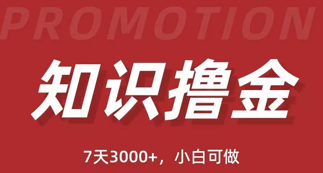 抖音知识撸金项目：执行力强当天见收益(教程+资料)-温馨分享网