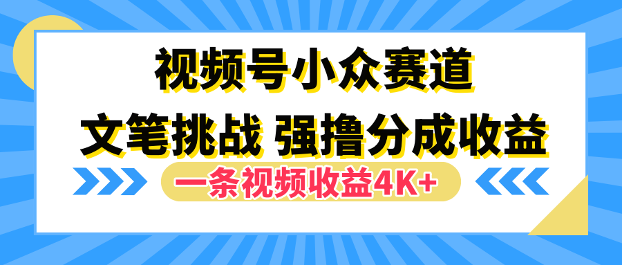 视频号小众赛道，文笔挑战，一条视频收益4K+-温馨分享网