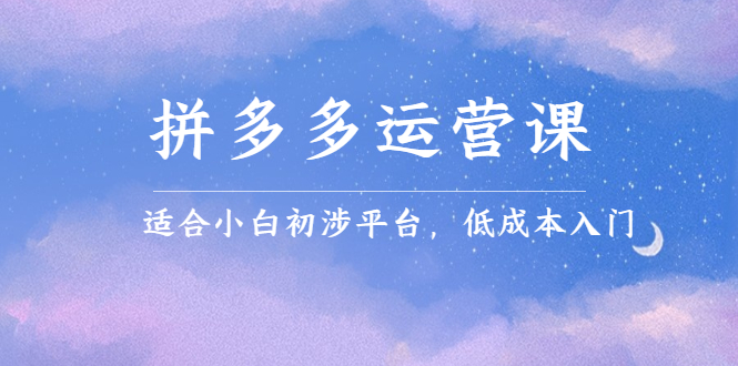 拼多多运营课，适合小白初涉平台，低成本入门-温馨分享网