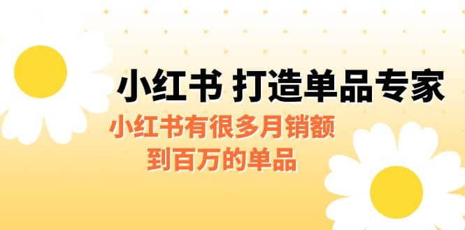 某公众号付费文章《小红书 打造单品专家》小红书有很多月销额到百万的单品-温馨分享网