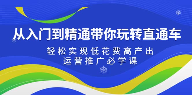 从入门到精通带你玩转直通车：轻松实现低花费高产出，35节运营推广必学课-温馨分享网