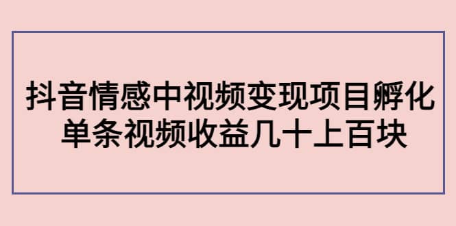 抖音情感中视频变现项目孵化-温馨分享网