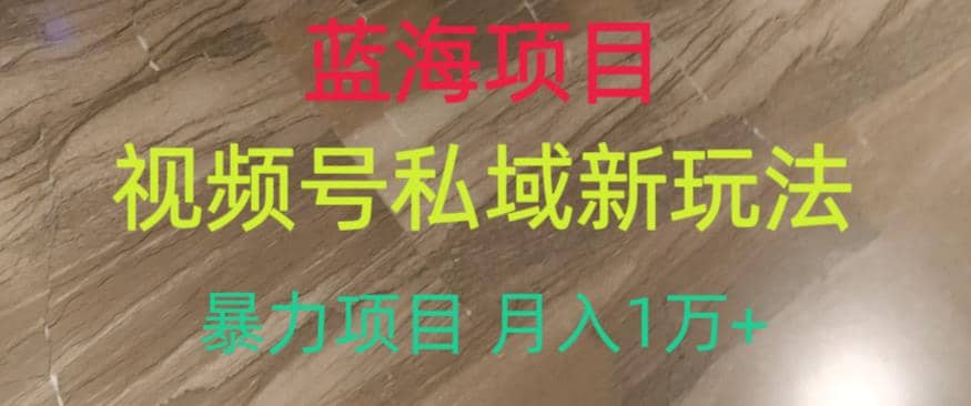 蓝海项目，视频号私域新玩法，暴力项目月入1万+【揭秘】-温馨分享网