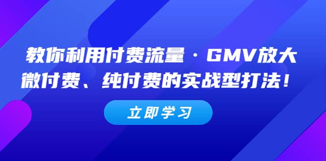 教你利用付费流量·GMV放大，微付费、纯付费的实战型打法-温馨分享网