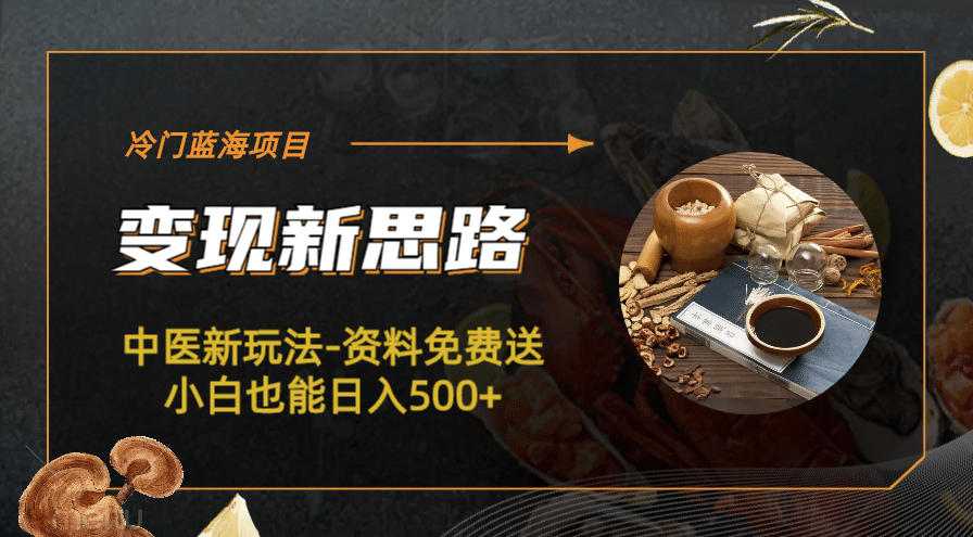 冷门蓝海项目-中医新玩法-冷门蓝海项目-中医新玩法-资料免费送小白也能日入500+500+-温馨分享网