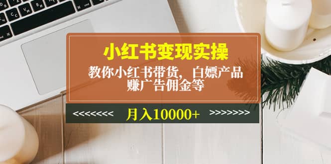 小红书变现实操：教你小红书带货，白嫖产品，赚广告佣金等-温馨分享网