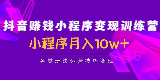 抖音小程序变现训练营：小程序各类玩法运营技巧变现-温馨分享网