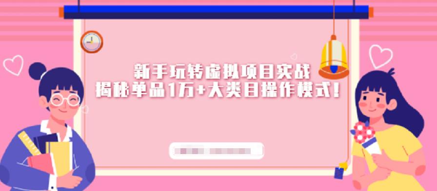 新手玩转虚拟项目实战，揭秘单品1万+大类目操作模式【视频课程】-温馨分享网