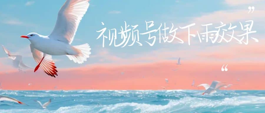 视频号做下雨视频一个账号一周涨粉10W+年入100w-温馨分享网