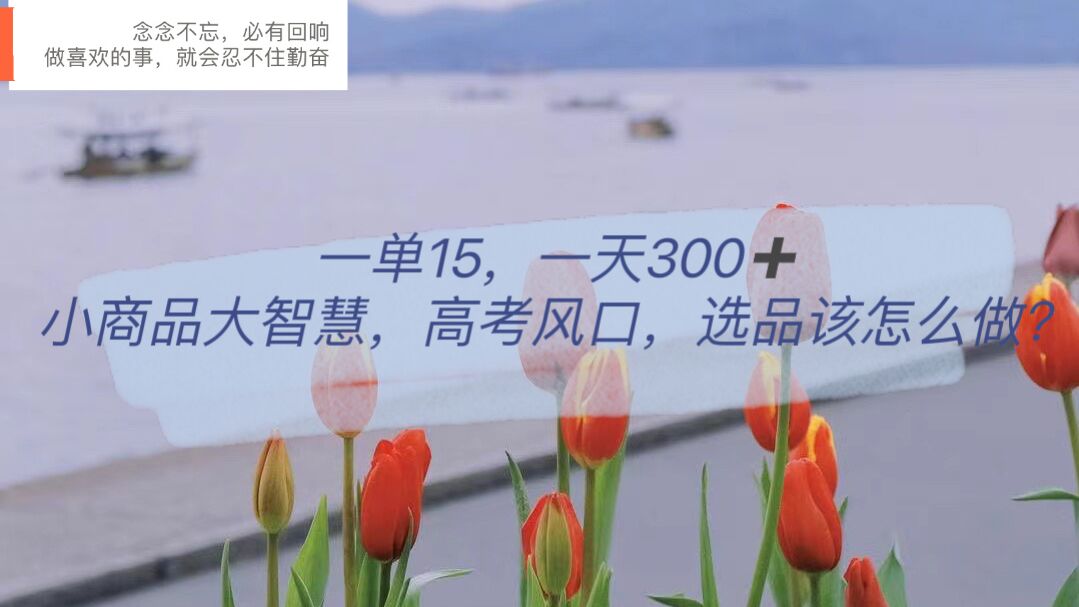 一单15，一天300+，小商品大智慧，高考风口，选品该怎么布局-温馨分享网