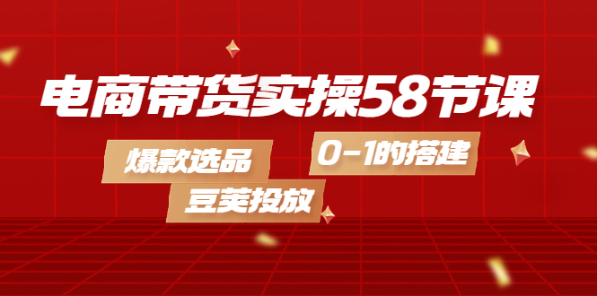 电商带货实操58节课，爆款选品，豆荚投放，0-1的搭建-温馨分享网