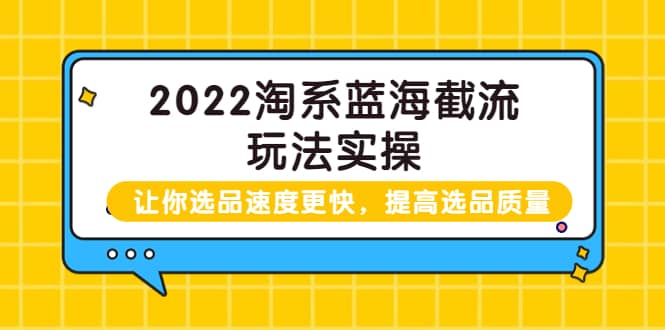 2022淘系蓝海截流玩法实操：让你选品速度更快，提高选品质量（价值599）-温馨分享网