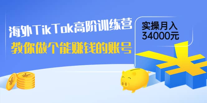 海外TikTok高阶训练营：教你做个能赚钱的账号，实操月入34000元！-温馨分享网