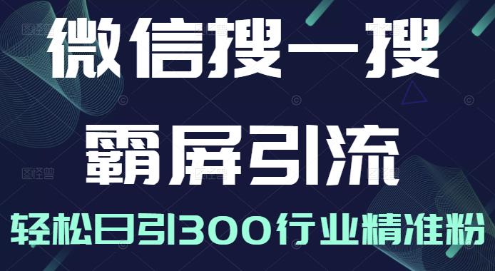 微信搜一搜霸屏引流课，打造被动精准引流系统，轻松日引300行业精准粉【无水印】-温馨分享网