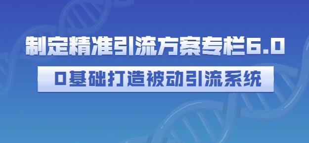 制定精准引流方案专栏6.0，0基础打造被动引流系统-温馨分享网
