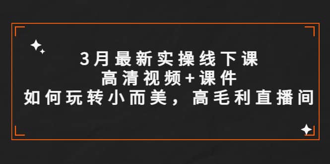 3月最新实操线下课高清视频+课件，如何玩转小而美，高毛利直播间-温馨分享网