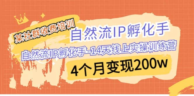 某社群收费培训：自然流IP 孵化手-14天线上实操训练营 4个月变现200w-温馨分享网