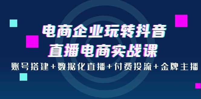 电商企业玩转抖音直播电商实战课：账号搭建+数据化直播+付费投流+金牌主播-温馨分享网