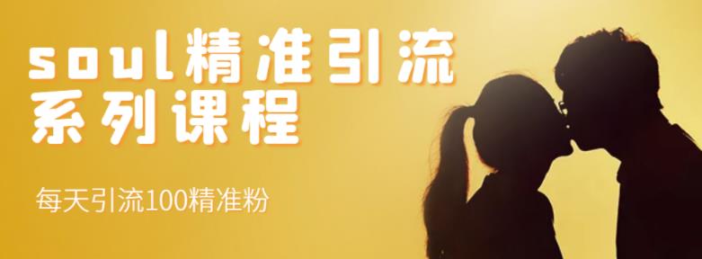 soul精准引流系列课程，每天引流100精准粉-温馨分享网