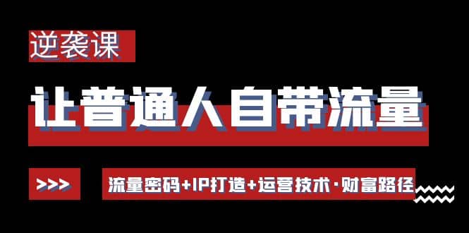让普通人自带流量的逆袭课：流量密码+IP打造+运营技术·财富路径-温馨分享网