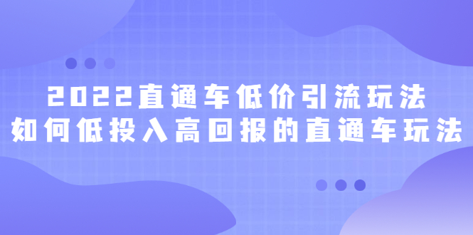 2022直通车低价引流玩法，教大家如何低投入高回报的直通车玩法-温馨分享网