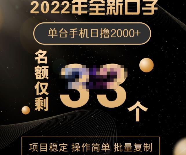 2022年全新口子，手机批量搬砖玩法，一部手机日撸2000+-温馨分享网