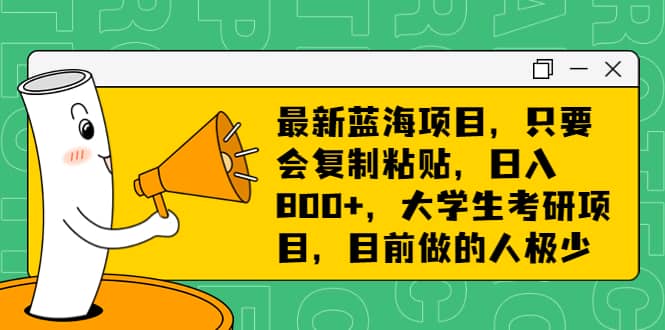 最新蓝海项目，只要会复制粘贴，日入800+，大学生考研项目，目前做的人极少-温馨分享网