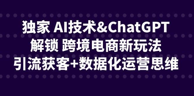 独家 AI技术ChatGPT解锁 跨境电商新玩法，引流获客+数据化运营思维-温馨分享网
