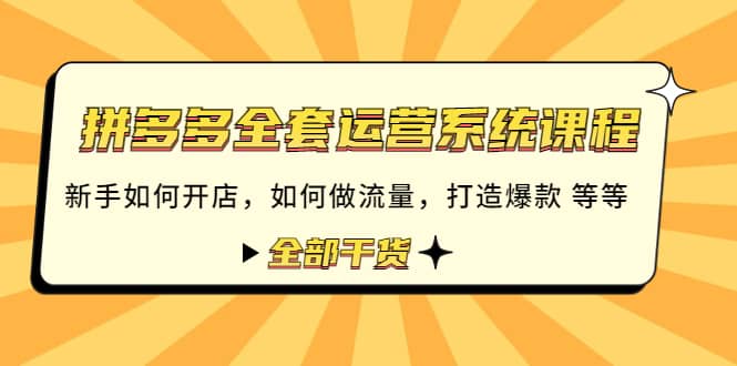 拼多多全套运营系统课程：新手如何开店 如何做流量 打造爆款 等等 全部干货-温馨分享网