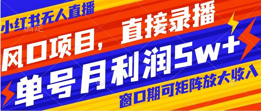 风口项目，小红书无人直播带货，直接录播，可矩阵，月入5w+-温馨分享网