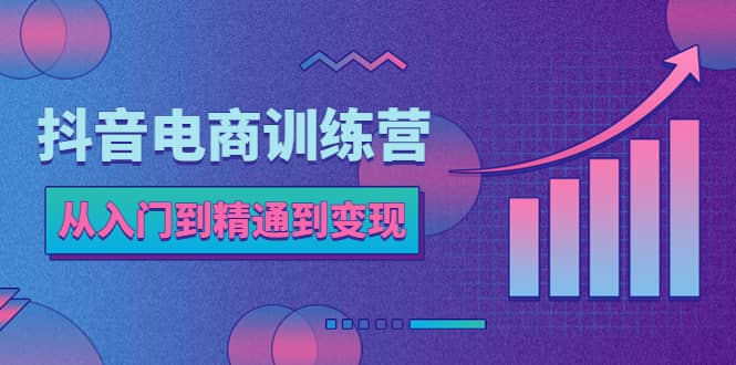 抖音电商训练营：从入门到精通，从账号定位到流量变现，抖店运营实操-温馨分享网