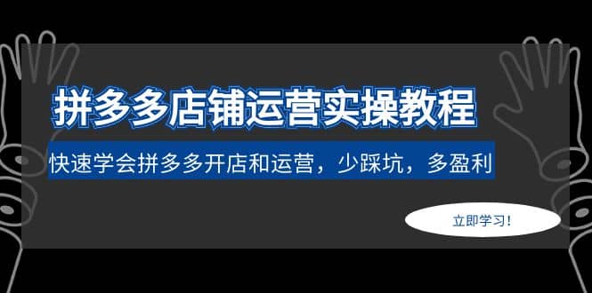 拼多多店铺运营实操教程：快速学会拼多多开店和运营，少踩坑，多盈利-温馨分享网