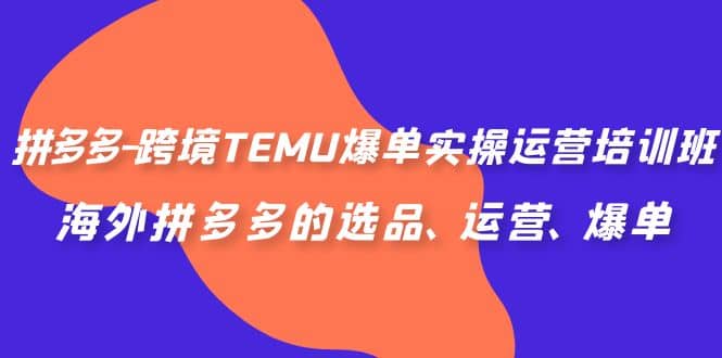 拼多多-跨境TEMU爆单实操运营培训班，海外拼多多的选品、运营、爆单-温馨分享网