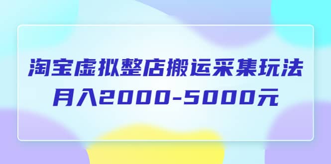 淘宝虚拟整店搬运采集玩法分享课：月入2000-5000元（5节课）-温馨分享网