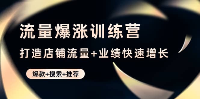 流量爆涨训练营：打造店铺流量+业绩快速增长 (爆款+搜索+推荐)-温馨分享网