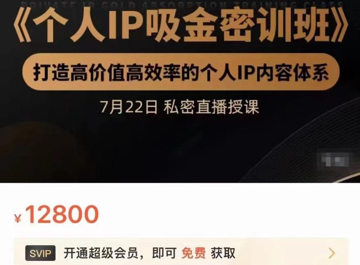 个人IP吸金密训班，打造高价值高效率的个人IP内容体系（价值12800元）-温馨分享网