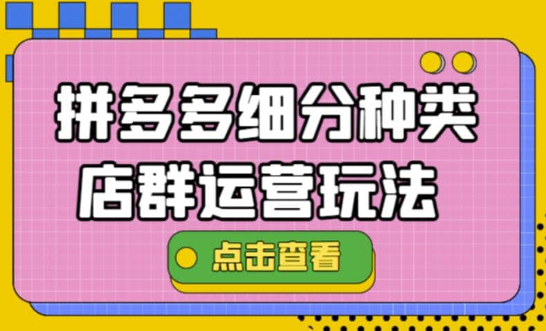 拼多多细分种类店群运营玩法3.0，11月最新玩法，小白也可以操作-温馨分享网