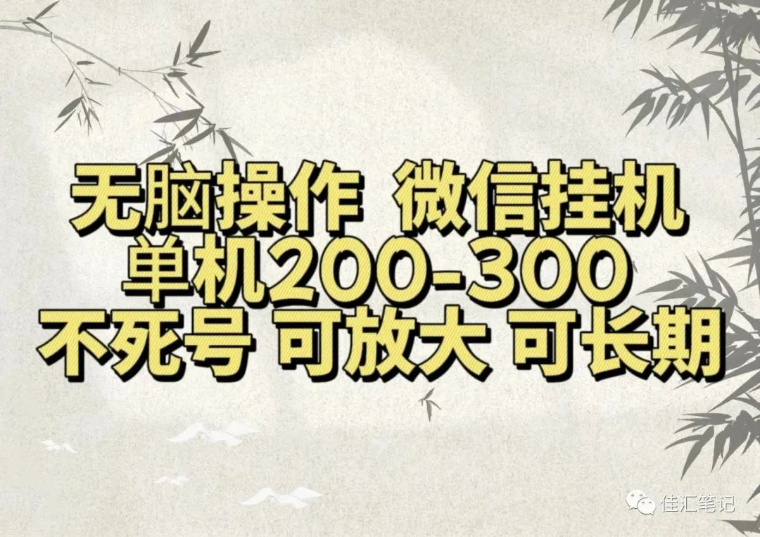 无脑操作微信视频号挂机单机200-300一天，不死号，可放大，工作室实测-温馨分享网