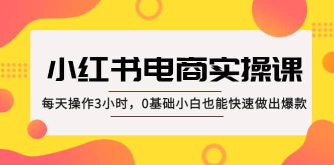 小红书·电商实操课：每天操作3小时，0基础小白也能快速做出爆款-温馨分享网