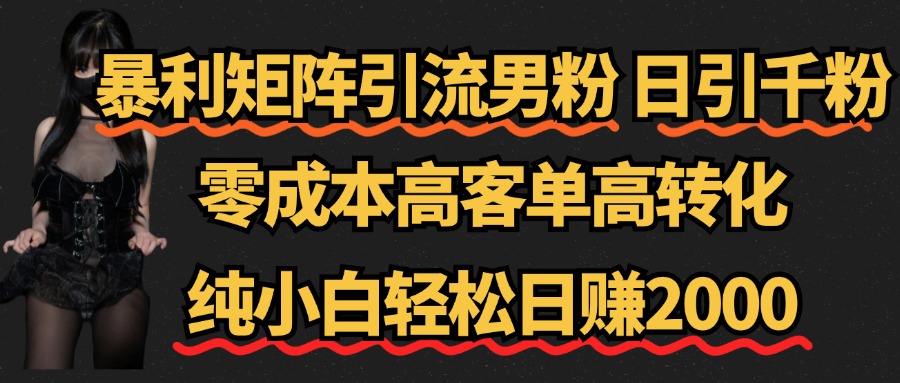暴利矩阵引流男粉（日引千粉），零成本高客单高转化，纯小白轻松日赚2000+-温馨分享网