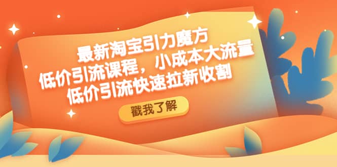 最新淘宝引力魔方低价引流实操：小成本大流量-温馨分享网