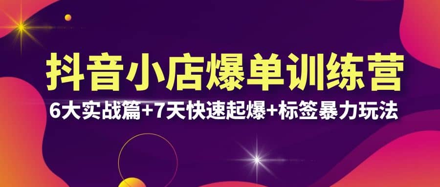 抖音小店爆单训练营VIP线下课：6大实战篇+7天快速起爆+标签暴力玩法(32节)-温馨分享网