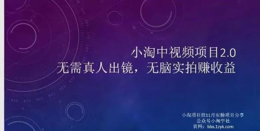 小淘项目组网赚永久会员，绝对是具有实操价值的，适合有项目做需要流程【持续更新】-温馨分享网