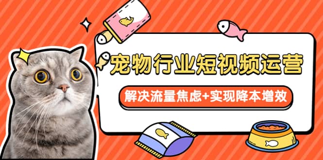 宠物/行业短视频运营 流量增长的一层窗户纸 解决流量焦虑+实现降本增效-温馨分享网