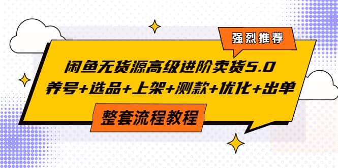 闲鱼无货源高级进阶卖货5.0，养号+选品+上架+测款+优化+出单整套流程教程-温馨分享网