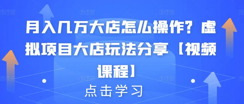 月入几万大店怎么操作？虚拟项目大店玩法分享【视频课程】-温馨分享网